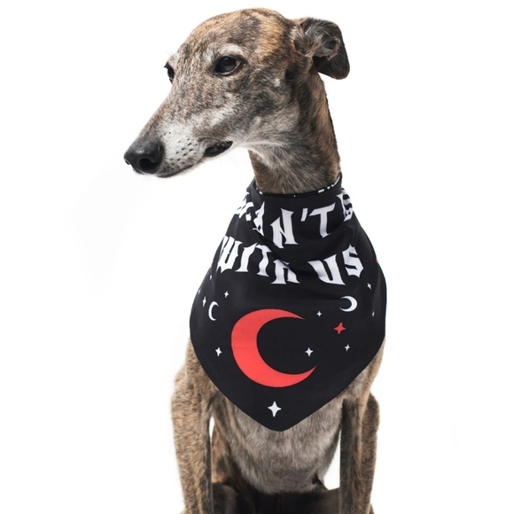 Rogue + Wolf ✦ “You Can’t Dig With Us” Reversible Pet Bandana ✦ Bones + Crystals - Picture 4 of 16
